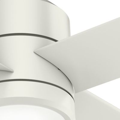 Image showing  72 in. 8-Speed Indoor/Outdoor Trak Damp-Rated Commercial Ceiling Fan with LED Light and Wall Control, 120V