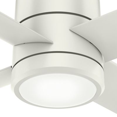 Image showing 2 th Hunter 84 in. 8-Speed Indoor/Outdoor Trak Damp-Rated Commercial Ceiling Fan with LED Light and Wall Control, 120V