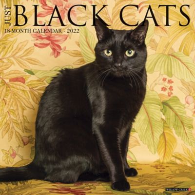 Willow Creek Press Just Black Cats 2022 Calendar, 16954 at Tractor Supply Co.