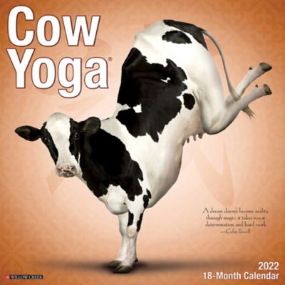 Willow Creek Press Cow Yoga 2022 Wall Calendar, 17661 At Tractor Supply Co.