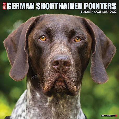 SHORT HAIR Gifts Plastic Street Signs: GERMAN SHORTHAIR STREET Dogs