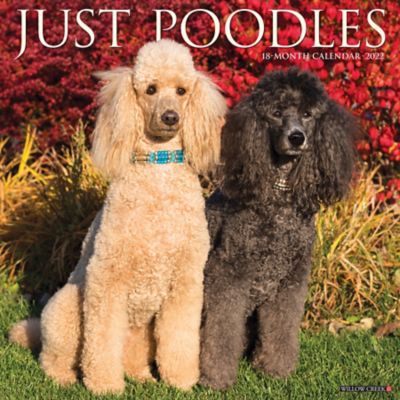 Willow Creek Press Just Poodles 2022 Wall Calendar 19276 At Tractor Supply Co