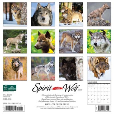 Calendars & Planners Wolves Daily Desktop Spirit of the Wolf 2022 Box ...