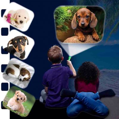 Image showing  Puppies Torch and Projector
