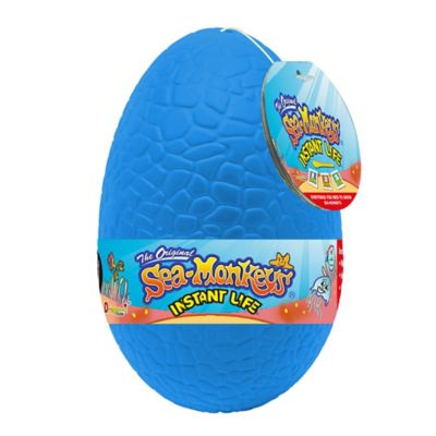 Sea Monkeys Mystery Eggs Instant Pet Set