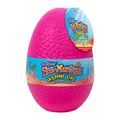 Image showing  Mystery Eggs Instant Pet Set