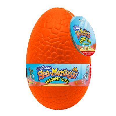 Image showing  Mystery Eggs Instant Pet Set