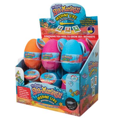 Image showing  Mystery Eggs Instant Pet Set