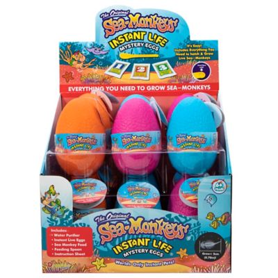 Image showing  Mystery Eggs Instant Pet Set