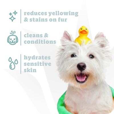 Image showing  Bright Shampoo & Conditioner For Dogs, 20 oz.
