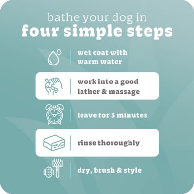Image showing  Bright Shampoo & Conditioner For Dogs, 20 oz.