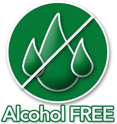 Image showing 6 th Vet's Best Allergy Itch Relief Dog Spray 8 oz.