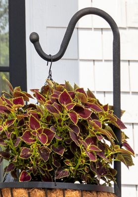 Image showing  88 in. Steel Beast Shepherd Hook, Black