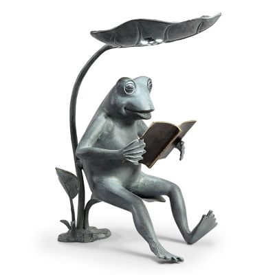 Image showing  Reading Frog Birdfeeder, 18.5 in. x 15.5 in. x 9.5 in.