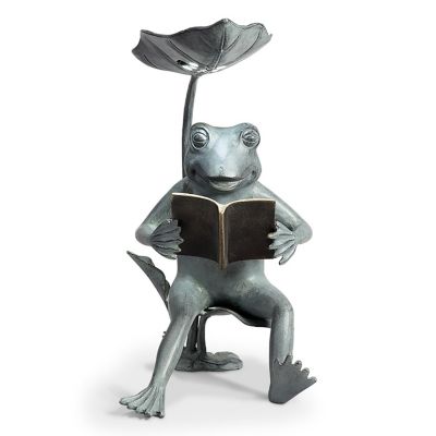 Image showing  Reading Frog Birdfeeder, 18.5 in. x 15.5 in. x 9.5 in.