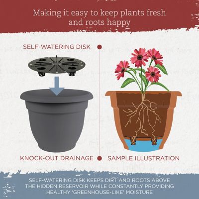 Image showing  6 gal. Plastic Ariana Self-Watering Planter, 16 in.