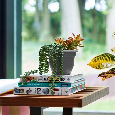 Image showing 8 th Bloem 6 gal. Plastic Ariana Self-Watering Planter, 16 in.