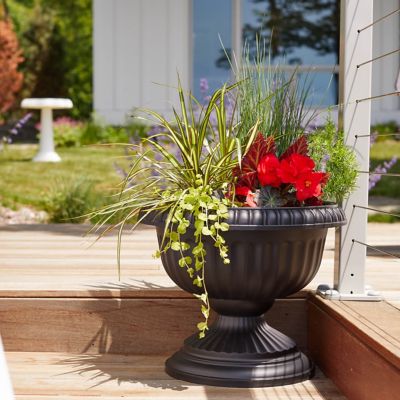 Image showing 5 th Bloem 4 gal. Plastic Grecian Urn Planter, 18 in.