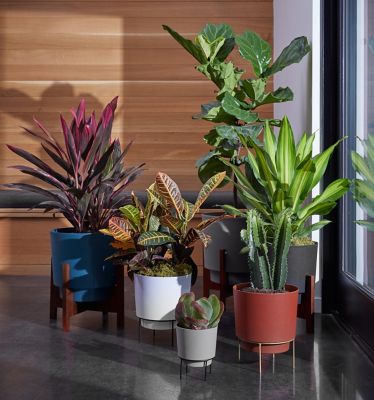 Image showing  3.25 gal. Plastic Hopson Planter with Metal Stand, 10 in.