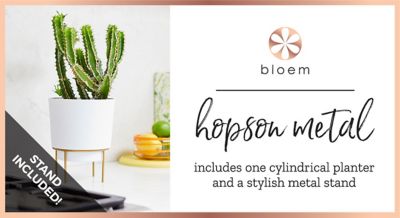 Image showing 6 th Bloem 9 gal. Plastic Hopson Planter with Metal Stand, 14 in.