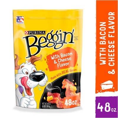 Purina Beggin' Bacon & Cheese Flavor Dog Treats, 48 oz.