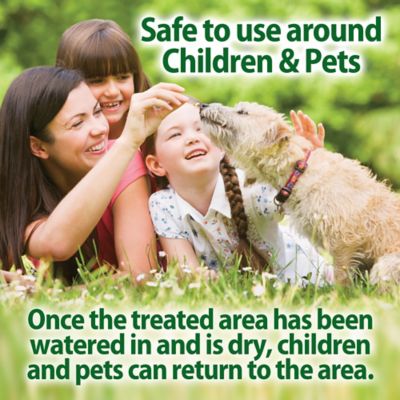 Image showing  Flower Girl Bud & Bloom Fertilizer, 4 lb., 707P