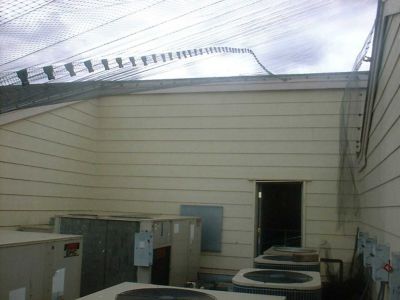 Image showing  14 ft. x 200 ft. Lightweight Plastic Bird Netting