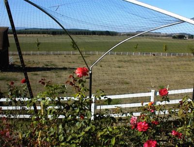 Image showing 5 th Bird-X 14 ft. x 200 ft. Lightweight Plastic Bird Netting