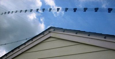 Image showing  14 ft. x 200 ft. Heavy-Duty Plastic Bird Netting