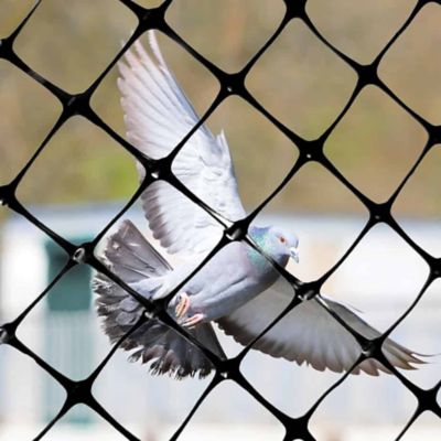 Image showing 6 th Bird-X 14 ft. x 200 ft. Heavy-Duty Plastic Bird Netting