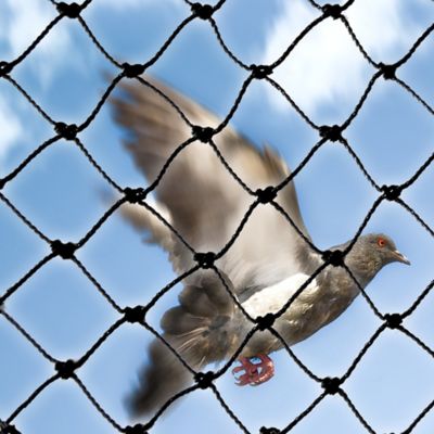 Bird-X 25 ft. x 50 ft. Knotted Heavy-Duty Bird Netting