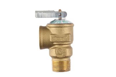 Image showing  3/4 in. Universal Brass Tankless Water Heater Isolation Valve Service Kit
