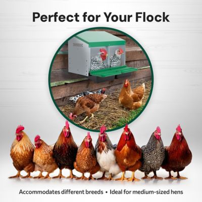 Image showing 3 th Homestead Essentials Classic 2-Compartment Chicken Nesting Box with Perch Lids