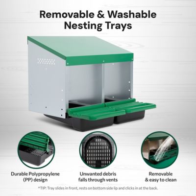 Image showing 4 th Homestead Essentials Classic 2-Compartment Chicken Nesting Box with Perch Lids