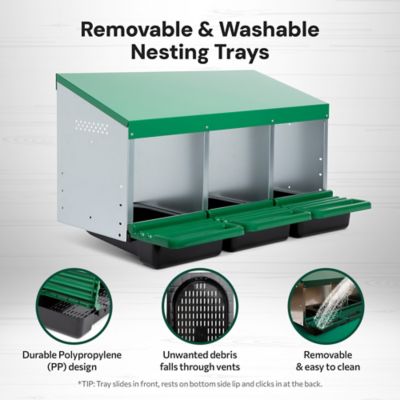Image showing  Classic 3-Compartment Chicken Nesting Box with Perch Lids