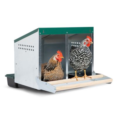 Homestead Essentials Reverse Roll-Out 2-Compartment Chicken Nesting Box with Wooden Perch