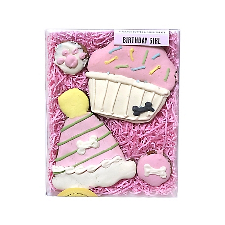 Bubba Rose Biscuit Co. Peanut Butter and Carob Flavor Birthday Girl Dog Treat Box