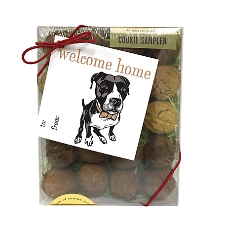 Bubba Rose Biscuit Co. Peanut Butter, Carob, Pumpkin, Honey, Vanilla and Oatmeal Flavor Welcome Home Gift Card Dog Cookie Box