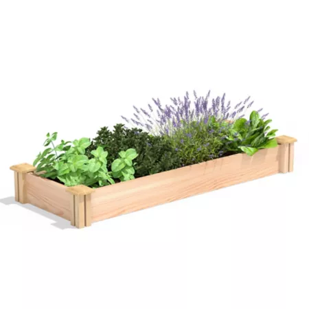 Greenes Premium Cedar Raised Garden Bed 16-in x 4-ft x 5.5-in Raised Garden Beds