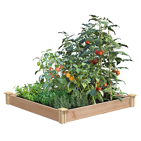 Greenes Premium Cedar Stackable Raised Garden Bed, 4 ft. x 4 ft. x 5.5 in.