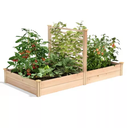 Greenes Premium Cedar Raised Garden Bed with Trellis 4 ft x 8 ft x 11 in. Raised Garden Beds