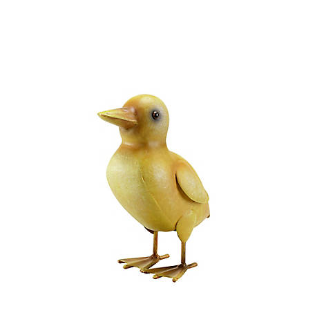 Taxidermy duckling Butt yellow cute 