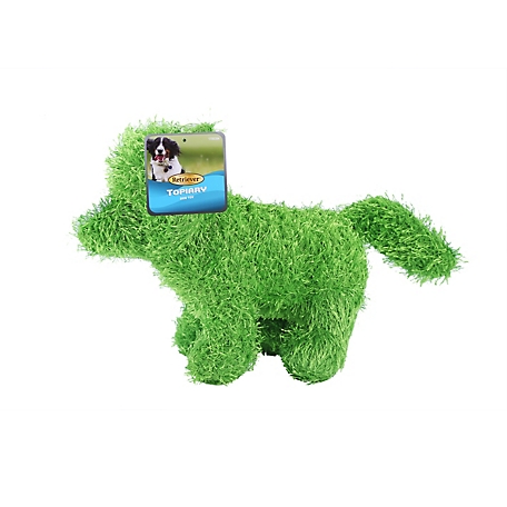Buy KONG - Puppy Starter Dog Toy Kit - Blue Toy for Small Puppies Online at  Low Prices in USA 