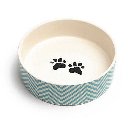Park Life Designs Talto Dishwasher Safe Ceramic Pet Bowl, 2 Cups, Small, 5.25 in., 1 pk.