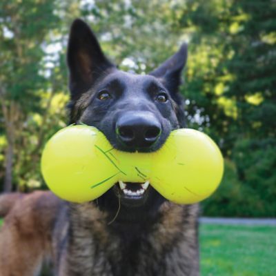 Image showing  Big Dawg XL Indestructible Retrieving Rubber Dog Toy
