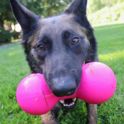 Image showing  Big Dawg XL Indestructible Retrieving Rubber Dog Toy