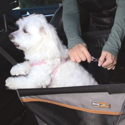 Image showing  Buckle N' Go Dog Car Seat for Pets