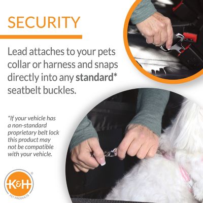 Image showing  Buckle N' Go Dog Car Seat for Pets