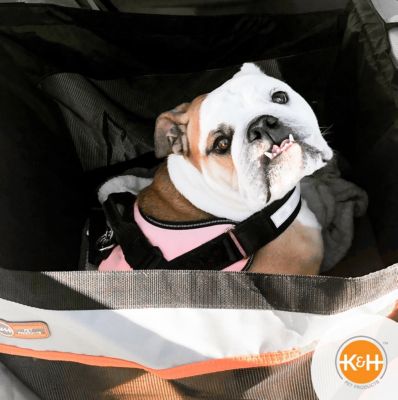 Image showing 7 th K&H Pet Products Buckle N' Go Dog Car Seat for Pets
