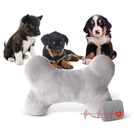 Heartbeat Puppy Bone Plush Dog Toy